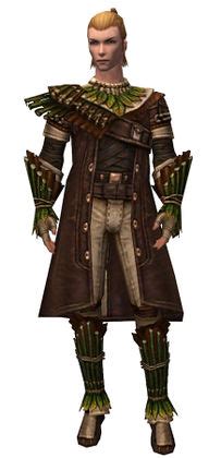 Ranger Druid Armor Guild Wars Wiki GWW