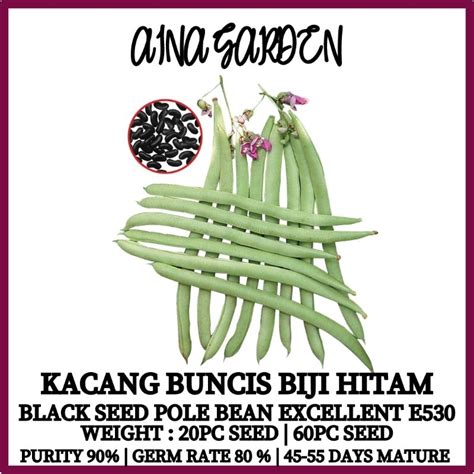 Hsk 20pc60pc Kacang Buncis Biji Hitammemanjat Black Seed Pole