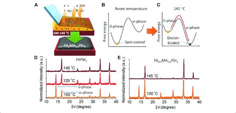 Formation Of The Mixed Cation Perovskite Film In Ambient Conditions