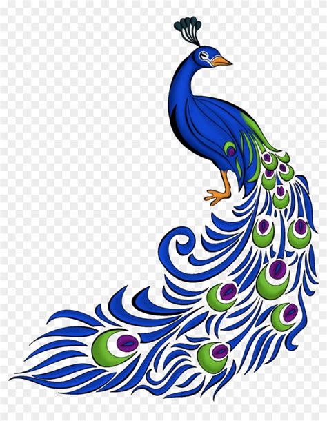 Peacock Feather Clip Art Png Peacock Drawing Free Transparent Png