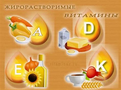 8.10. ЖИРОРАСТВОРИМЫЕ ВИТАМИНЫ - YouTube