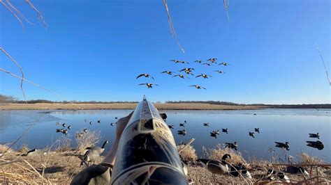 Late Season Goose Hunting The Last Day Of The Season Youtube