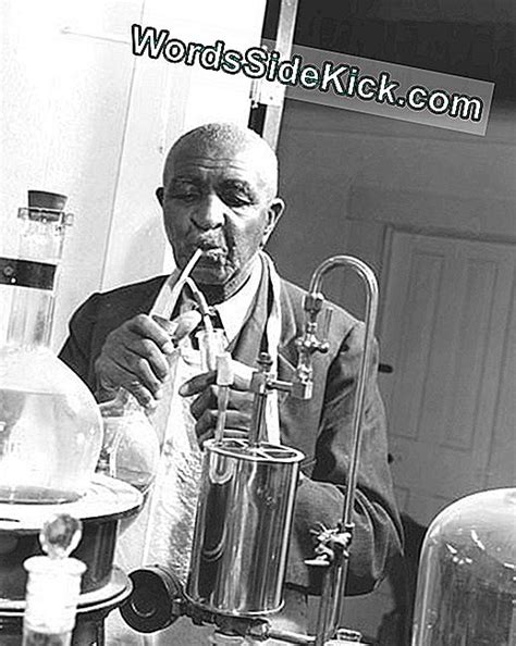 George Washington Carver Biografía Inventos Y Citas 2024 Historia