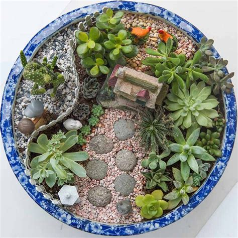 How To Create A Succulent Fairy Garden Gardeners Path