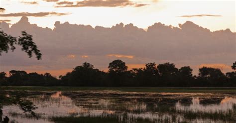 Swamp Landscape at Dusk · Free Stock Photo