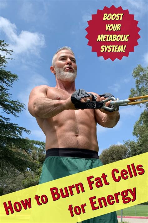 Strengthen your metabolism for fat cell energy utilization – Artofit