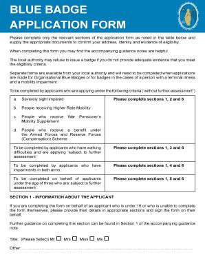 Blue Badge Application Forms Fill And Sign Printable Template Online