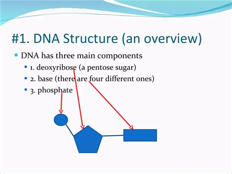 Dna Structure Powerpoint Ppt