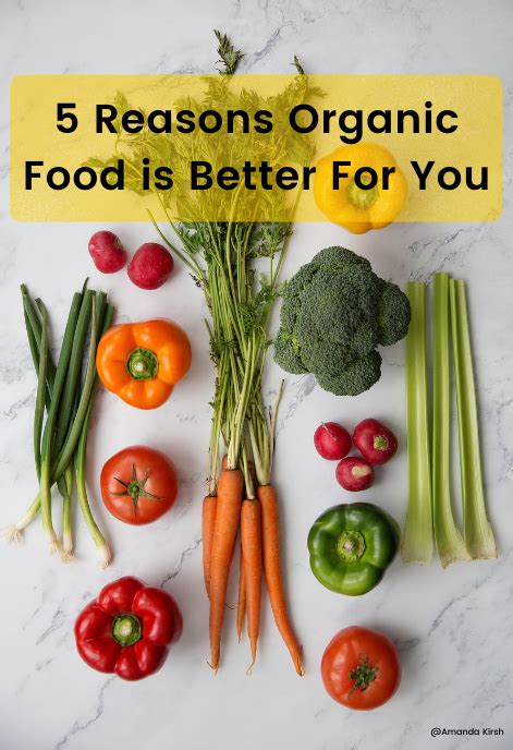 5 Reasons Organic Food Is Better For You Organic Food