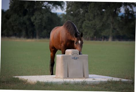 Water Quality and Your Horse | Ritchie Industries, Inc