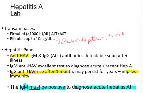 Interpretation of viral hepatitis serology Flashcards | Quizlet