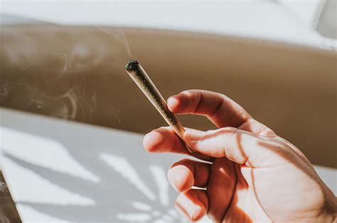 Maconha Qual A Diferença Entre Legalização E Descriminalização