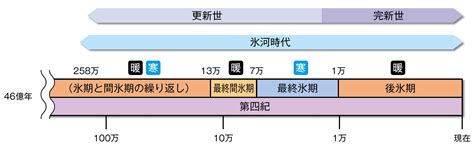 葛飾区史｜第1章 葛飾の風土と自然