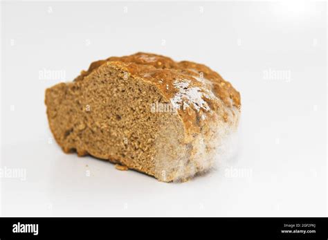 Mouldy Whole Grain Bread Cut Out Stock Photo Alamy