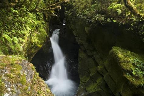 The Chasm, Te Anau | Tickets & Tours - 2024