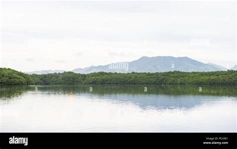 Lake Panorama In Trinidad And Tobago South America Stock Photo Alamy