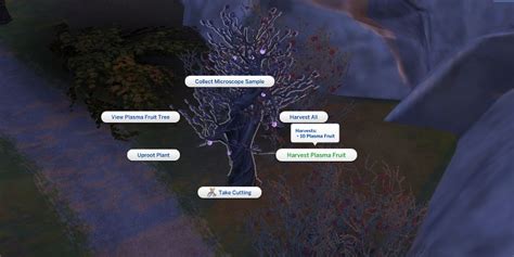 Where To Find Plasma Fruit In The Sims 4