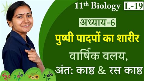 L 19 वार्षिक वलय अंत काष्ठ And रस काष्ठ अध्याय 6 पुष्पी पादपों का शारीर 11th Biology Youtube