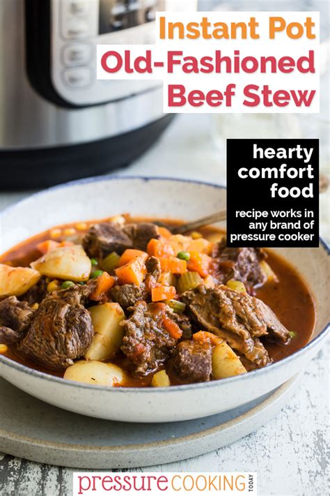 Ninja Foodi Beef Stew Pressure Cooker Store