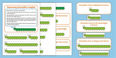 Measuring Caterpillar Lengths Maths Activity Twinkl