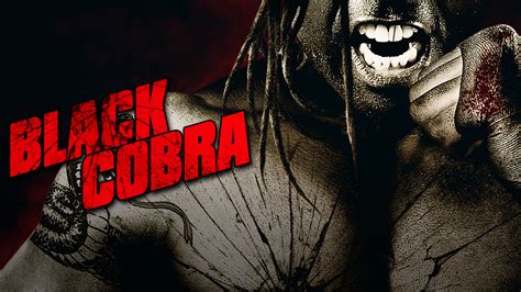 Black Cobra 2012 Full Movie Online - Watch HD Movies on Airtel Xstream Play