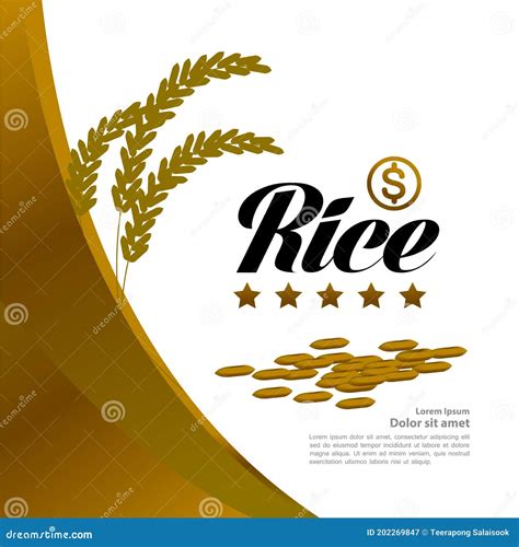 Premium Rice Great Quality Design Concept Vector Stock Vector