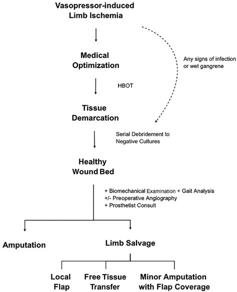 Surgical Management Algorithm For Vasopressor Induced Limb Ischemia