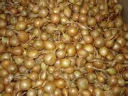 Туристический потенциал старого Арзамаса