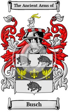 Busch Name Meaning, Family History, Family Crest & Coats of Arms, English