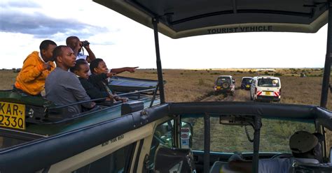 Tage Beste Tansania Wildlife Safari Auf X Land Cruiser Jeep