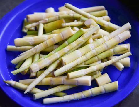 How to Cook and Serve Bamboo Shoots -- Harvest to Table