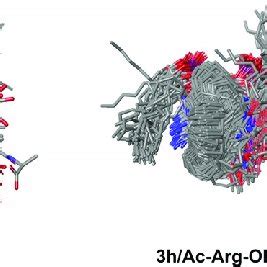 Superimposed snapshots from 100 ns MD simulations of complexesformed ... 