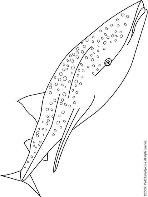 Whale Shark Coloring Page | Audio Stories for Kids | Free Coloring ...