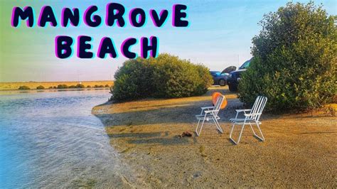 Mangrove Beach Umm Al Quwain Activities & Costs |Fundining