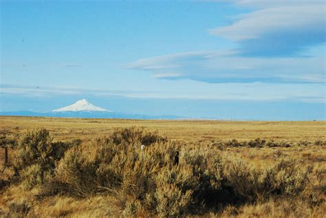 high desert, oregon by SloppyStylist4 on DeviantArt