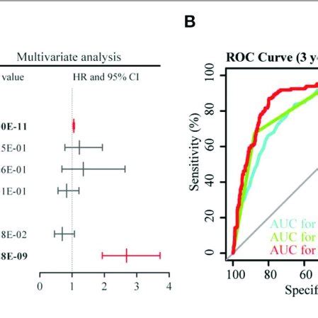 Identification Of A 12 Gene Risk Signature For OS By LASSO Regression