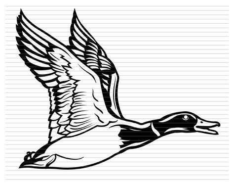 Duck Svg Duck Clipart Flying Duck Hunter Duck Hunting Duck Hunter