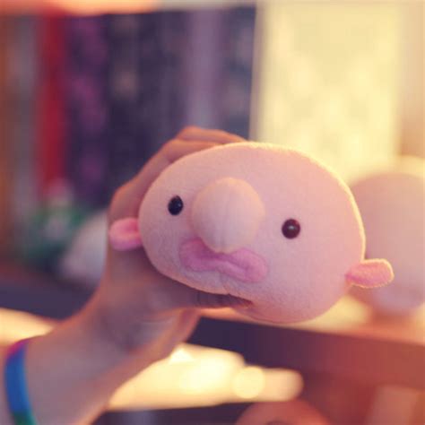 Blobfish (Oddballz™) – Hashtag Collectibles