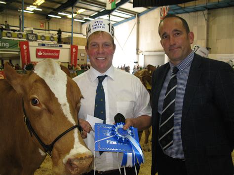 S.W. Dairy Show/ National Guernsey Show 2016 - English Guernsey Cattle ...