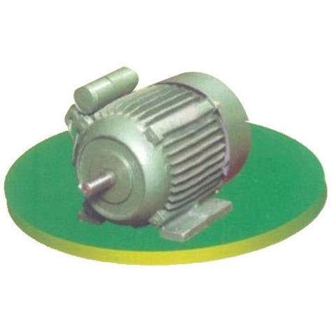 TEFC Motor, TEFC Electric Motors, Totally Enclosed Fan Cooled Motor, TEFC Pumps, टीईएफसी मोटर in ...