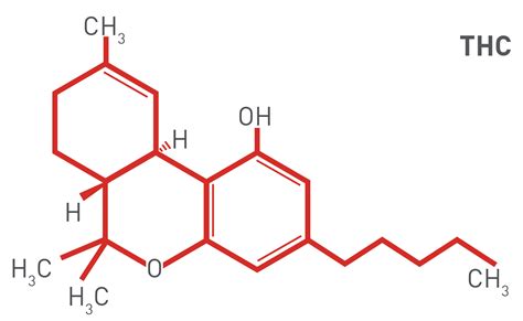 Chemical Makeup Of Thc - Mugeek Vidalondon