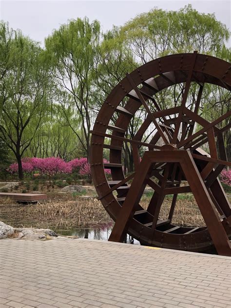 6 Spots To See Spring Flowers In Beijing For Free