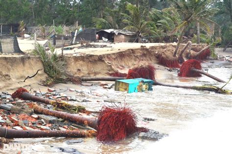 Quang Nam beaches severely eroded | DTiNews - Dan Tri International ...