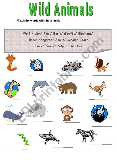 Wild Animals Matching Esl Worksheet By Sviviana