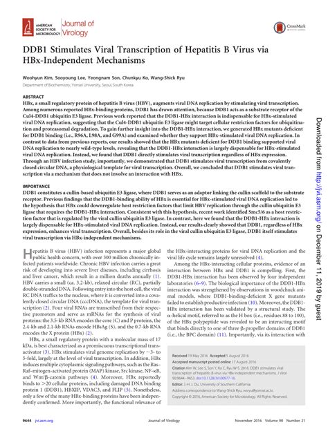 PDF DDB1 Stimulates The Viral Transcription Of Hepatitis B Virus Via