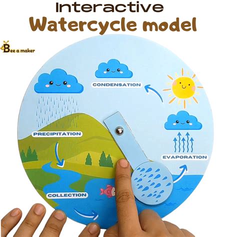 Watercycle model - bee.a.maker