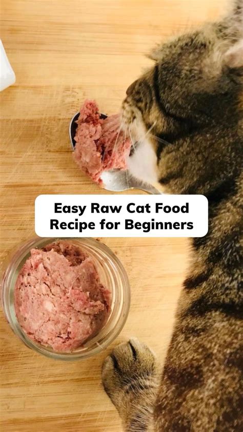 Easy Raw Cat Food Recipe For Beginners Raw Cat Food Recipes Raw Cat Food Diet Best Cat Food