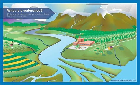 Watershed Diagram Diagram | Quizlet