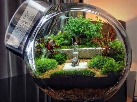 100 Atemberaubende Bonsai Terrarium für Miniatur Landschaft in