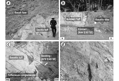 Outcrop Photographs Showing The Major Features Of A B C The